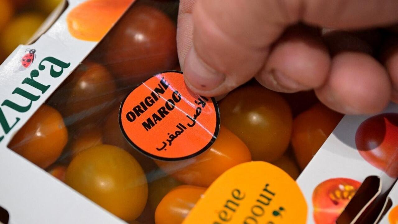 Afrique économie – Maroc/France: la hache de guerre de la tomate est enterrée pour le moment
