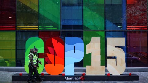 La COP15 s'ouvre à Montréal pour tenter de sauver la biodiversité mondiale