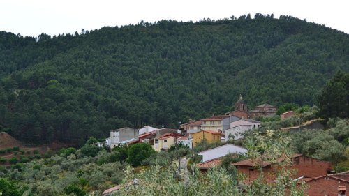 Tour du monde des correspondants - Incendies de forêts en Espagne, Italie, Maroc, États-Unis: quelles solutions pour l'après ?