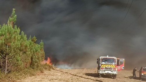 Invité France - Propagation des incendies en France: «Cet été est certainement un aperçu des années à venir»
