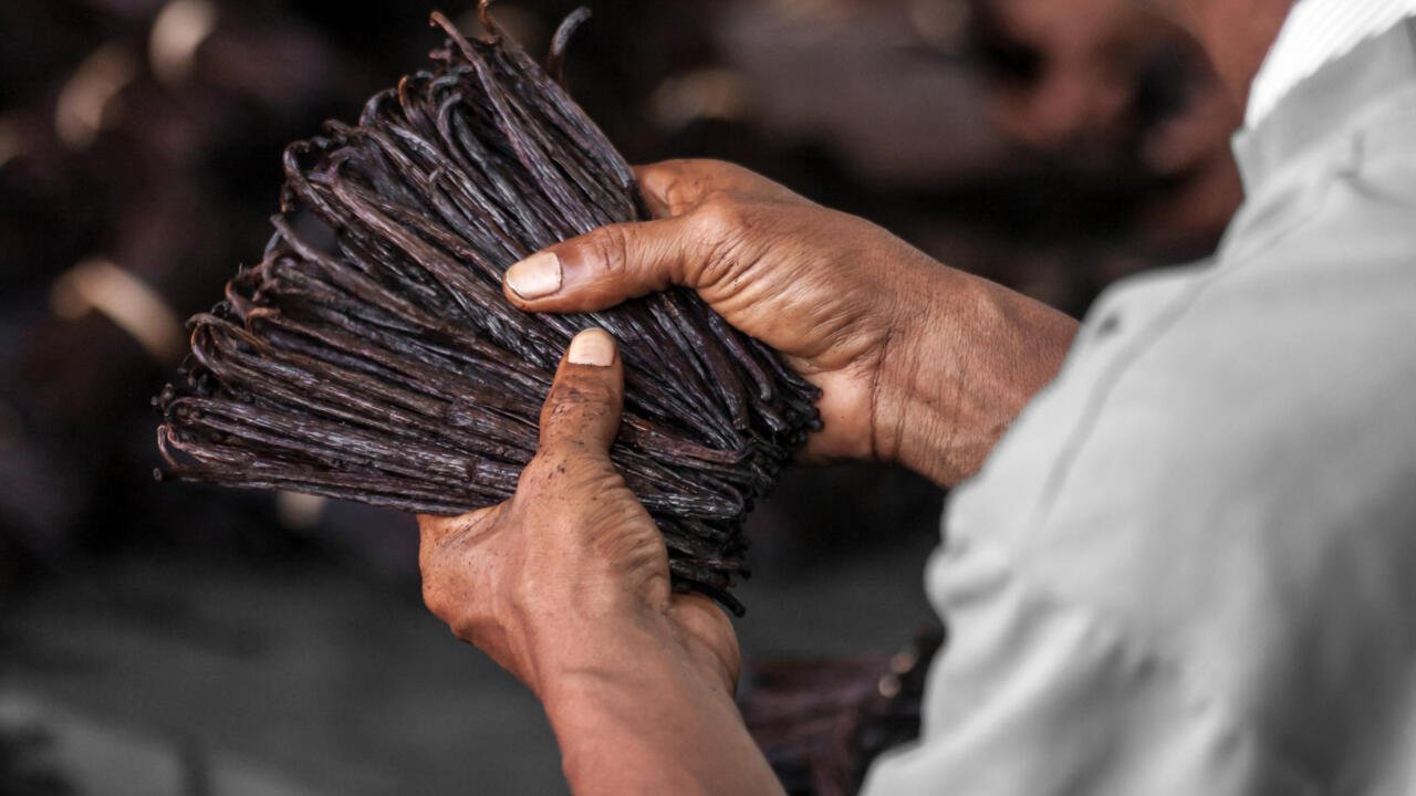 Une étude dénonce l’impact écologique de la production de cacao, de soja ou de vanille