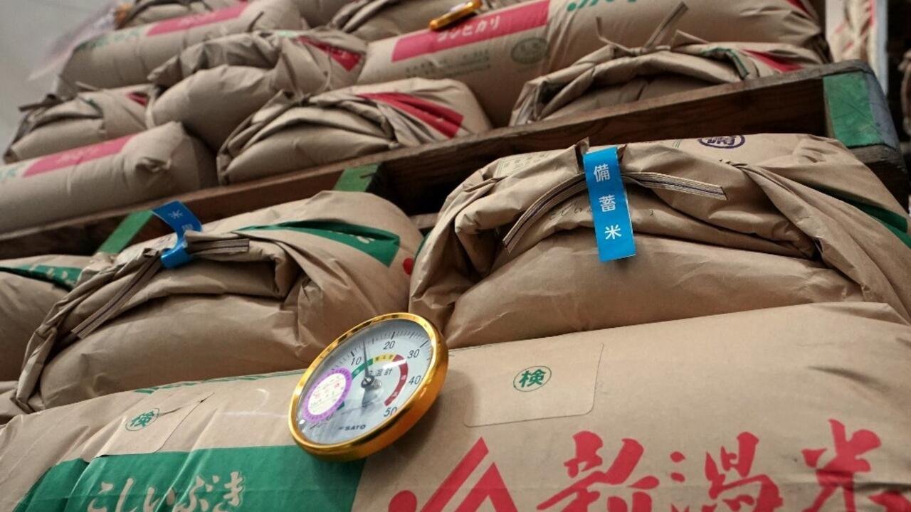 Chronique des matières premières – Le riz japonais flambe, une exception dans un marché mondial à la baisse