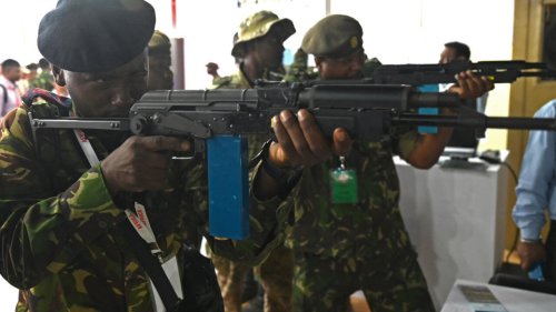 L'Inde présente sa production locale d'équipements militaires à ses partenaires africains