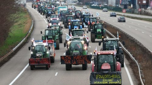 La Commission européenne veut alléger «la pression» sur les agriculteurs