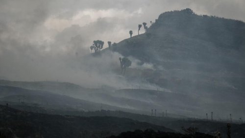 Questions d'environnement - Environnement: l'Afrique brûle en permanence