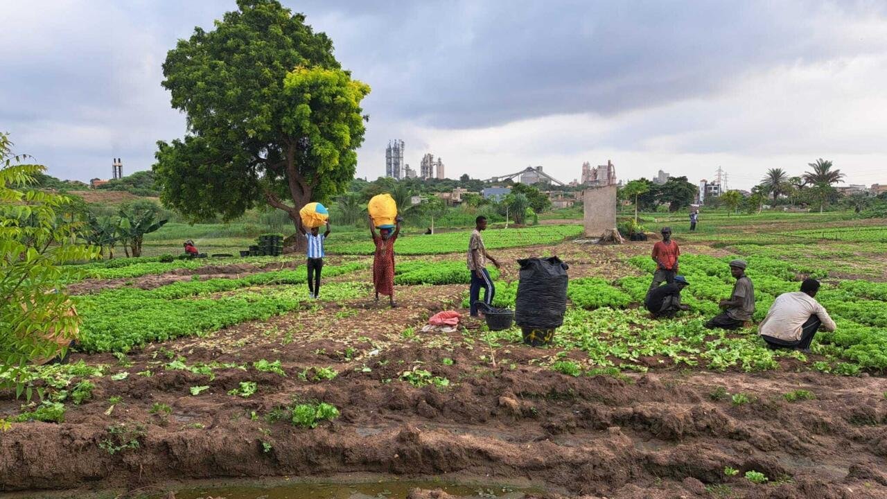 Éco d’ici éco d’ailleurs – COP 30 : l’énergie et l’agriculture, leviers de la décarbonation au Sénégal