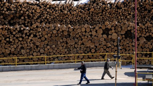 Chronique des matières premières - Les grumes américaines, victimes inattendues de la guerre commerciale