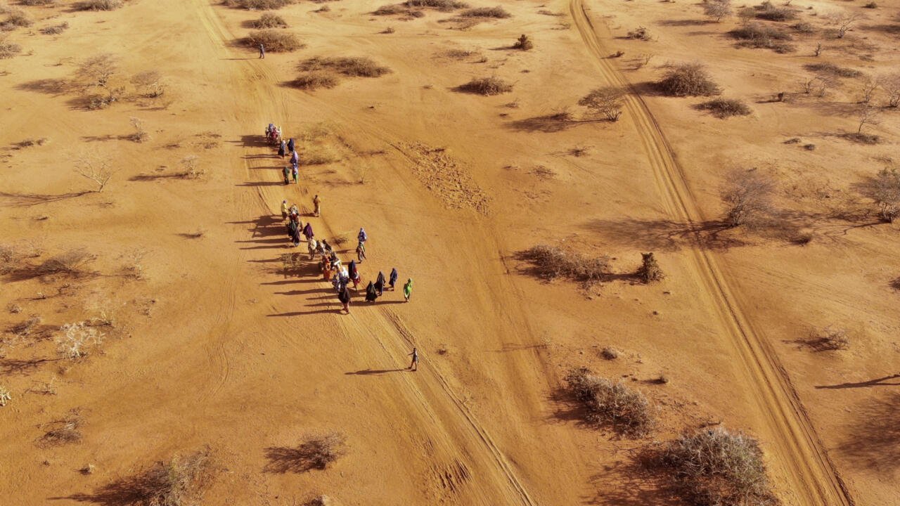 Afrique économie – Sécurité alimentaire: la stratégie agricole de l’Éthiopie face au défi climatique