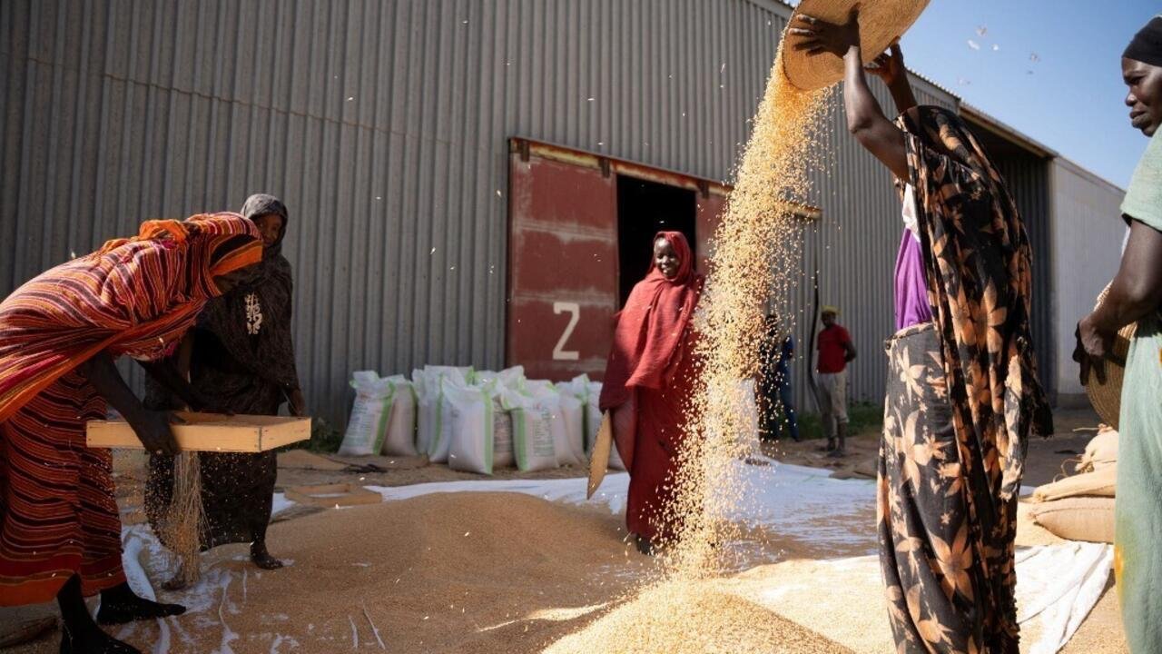 Afrique économie – Après trois ans de guerre, la difficile relance de l’agriculture soudanaise