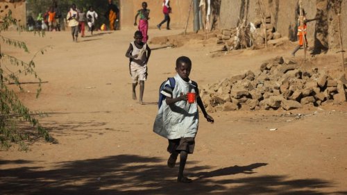 France accused of failing to monitor NGO who 'stole children' in Mali