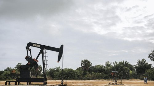 RDC: nouvel appel d'offres pour des blocs pétroliers, «un grave recul pour le climat», dit Greenpeace