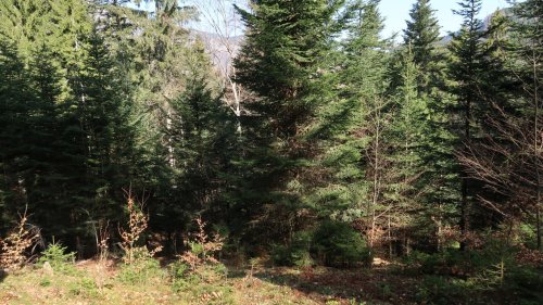 Revue de presse française - À la Une: laisser la nature reprendre ses droits…