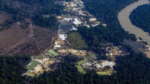 Journal d'Haïti et des Amériques - Brésil: la crise humanitaire des Yanomami