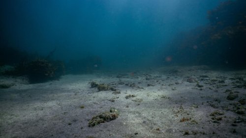 Océans: Donald Trump entend ouvrir l'exploitation minière dans les eaux internationales
