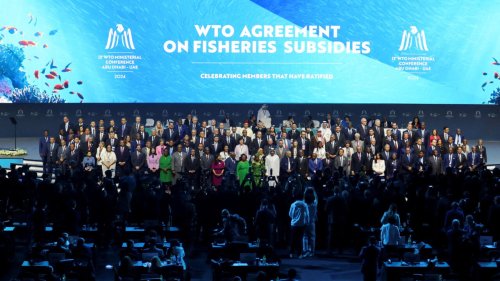 L'OMC en crise après l'échec des négociations sur l'agriculture et la pêche