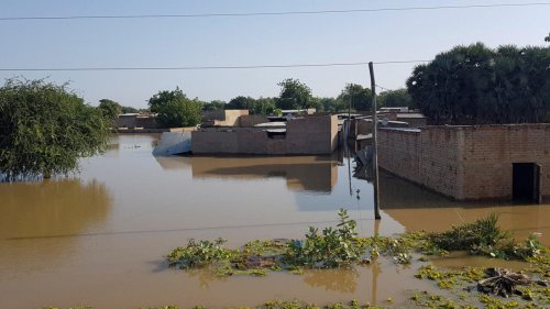 Reportage Afrique - Tchad: après les inondations à Ndjaména, les sinistrés impatients de rentrer chez eux [3/3]