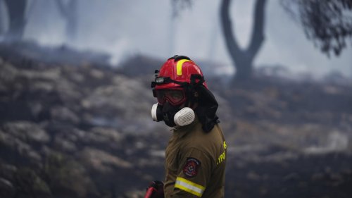 Reportage international - Grèce: face aux feux de forêts, les autorités tentent d'améliorer leurs méthodes
