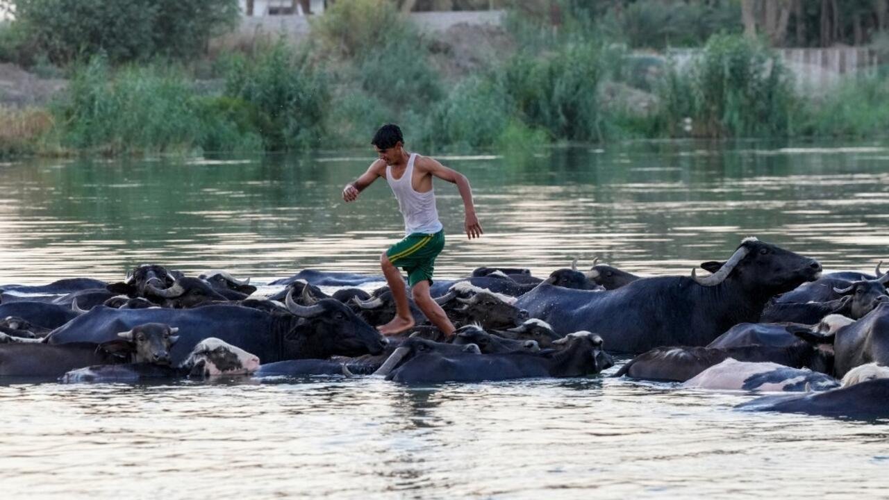 Reportage international – Sécheresse en Irak: le sud du pays à l’épreuve du climat et des restrictions d’eau