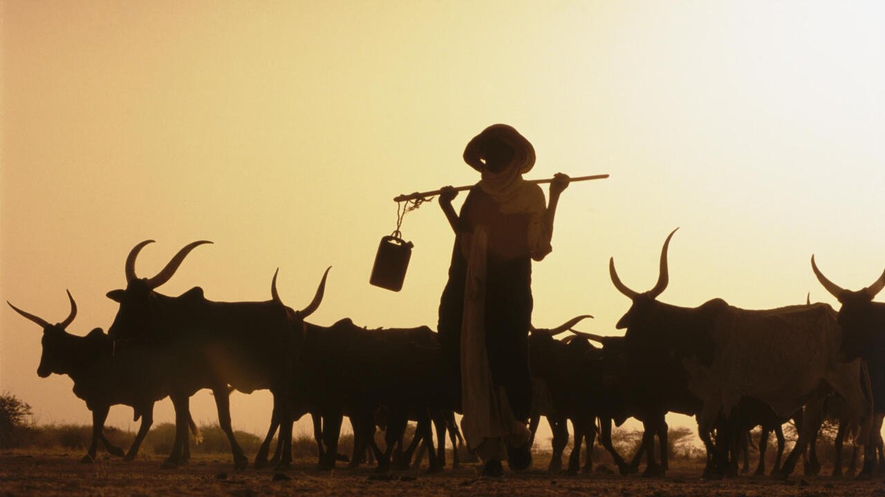Questions d’environnement – Comment convaincre les jeunes Africains de se lancer dans l’agriculture?