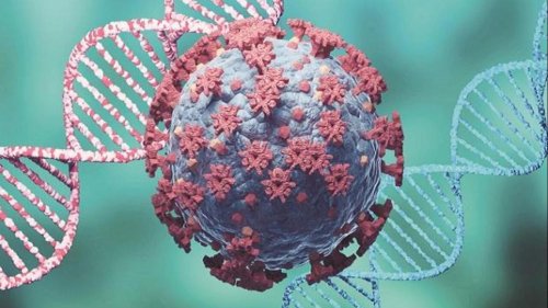 'Worse than Delta': Alarm over Botswana Covid variant with multiple mutations