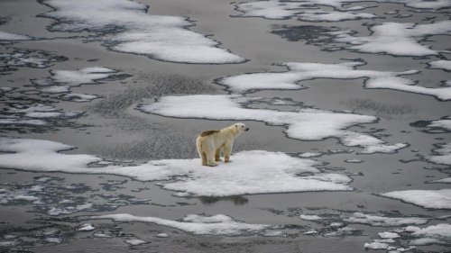 IPCC scientists still hopeful of capping global warming at 1.5C