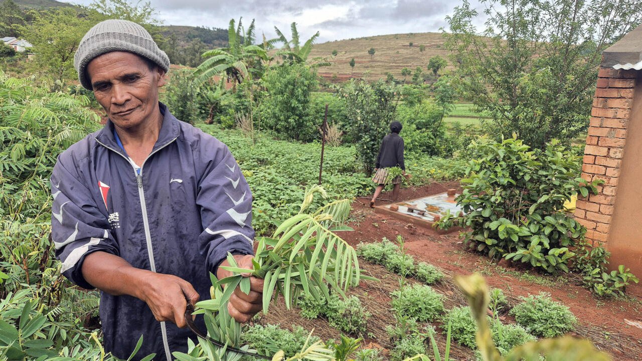 Sommet UA/UE: près d’Antananarivo, une formation agricole illustre le partenariat Madagascar-Europe