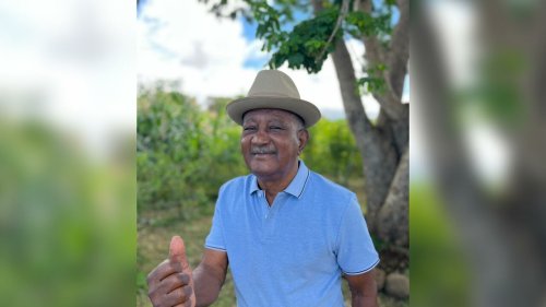 Grand reportage - À La Réunion, le maloya, des plantations de canne à sucre aux scènes internationales