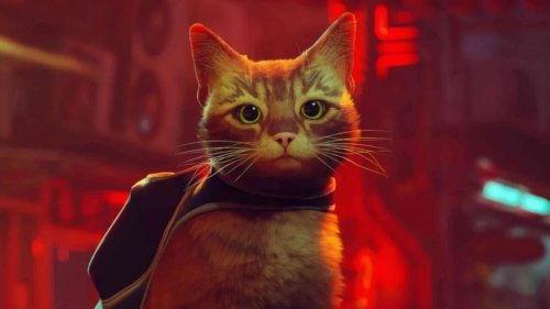 Digital purrfection: how French-developed video game 'Stray' has cats transfixed