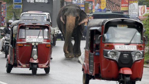 Le Sri Lanka vit sa pire récession depuis son indépendance