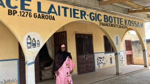 Afrique économie - À Garoua, le yaourt produit localement, le pari gagnant de «Botte Kossam»