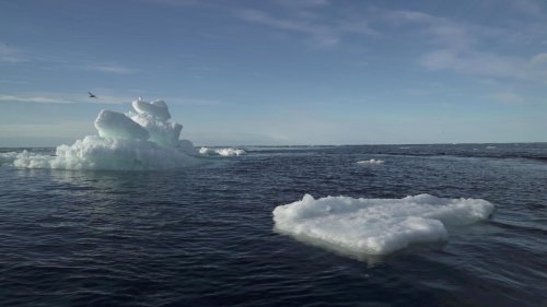 À la Une en Asie - Les ambitions chinoises dans l’Arctique