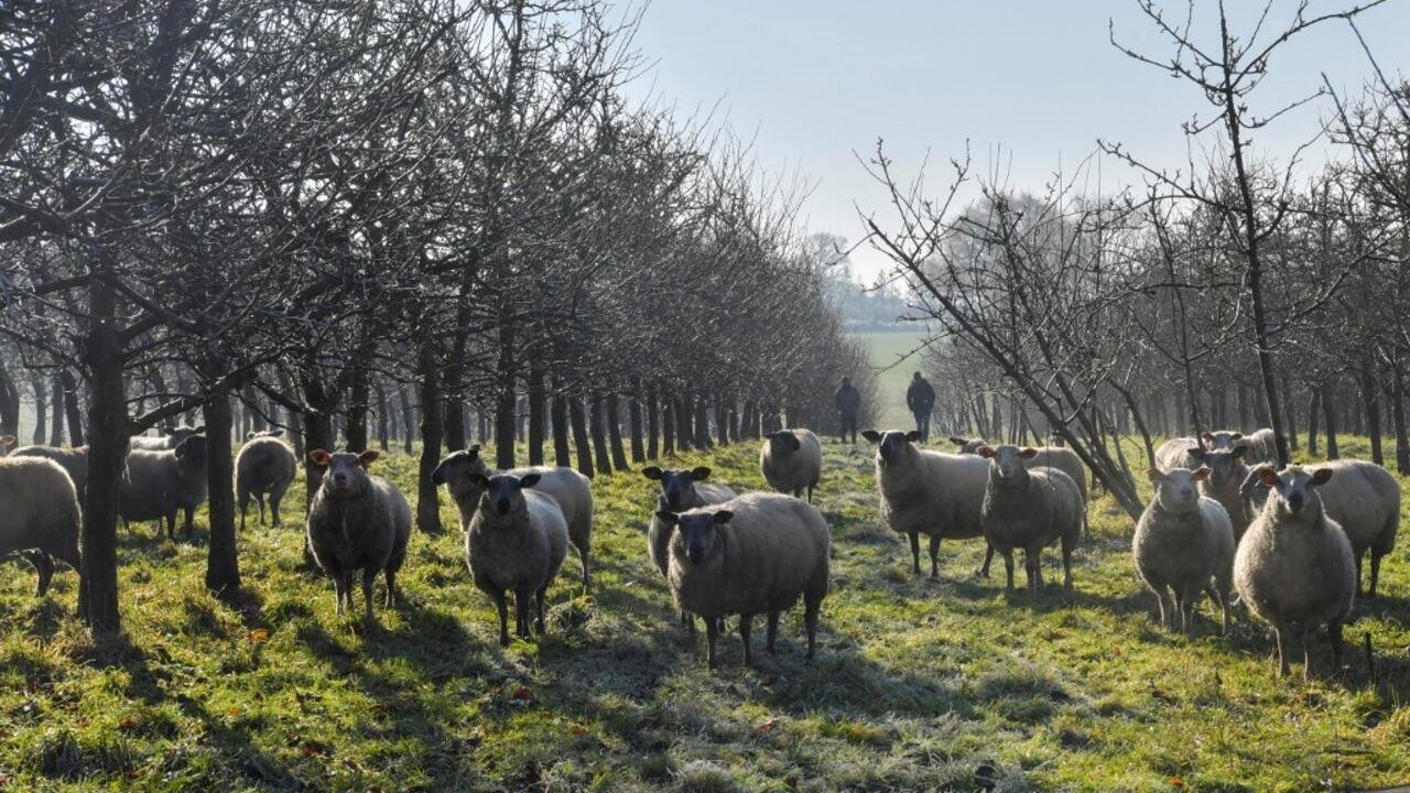 La Commission européenne dévoile sa vision pour l’avenir de l’agriculture