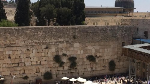Orient hebdo - Jérusalem: sur les traces du quartier maghrébin
