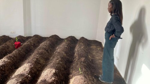 Invité Afrique - Binta Diaw cultive son «champ de pierres» à Dakar