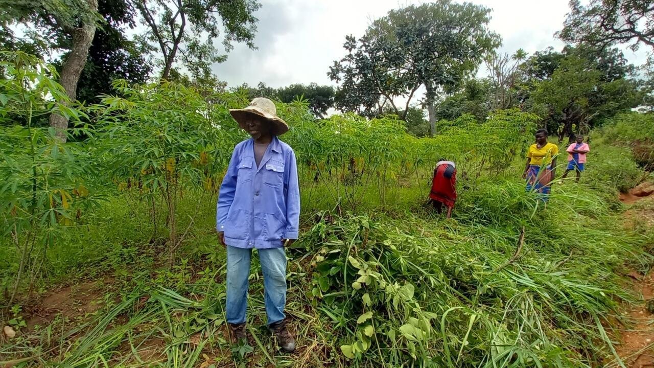 Reportage Afrique – Centrafrique: à la découverte de Bouar, la capitale du haricot