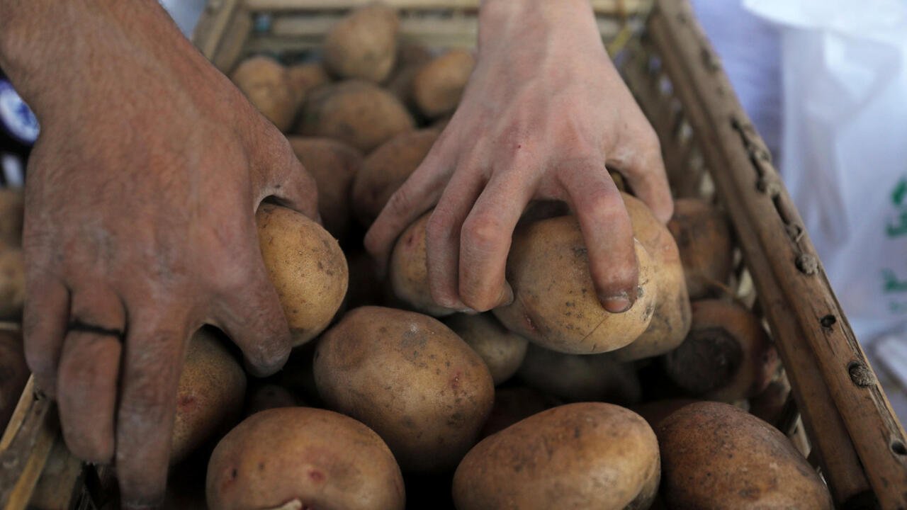 Afrique économie – Tunisie: la pénurie de pommes de terre met commerçants et consommateurs sous tension