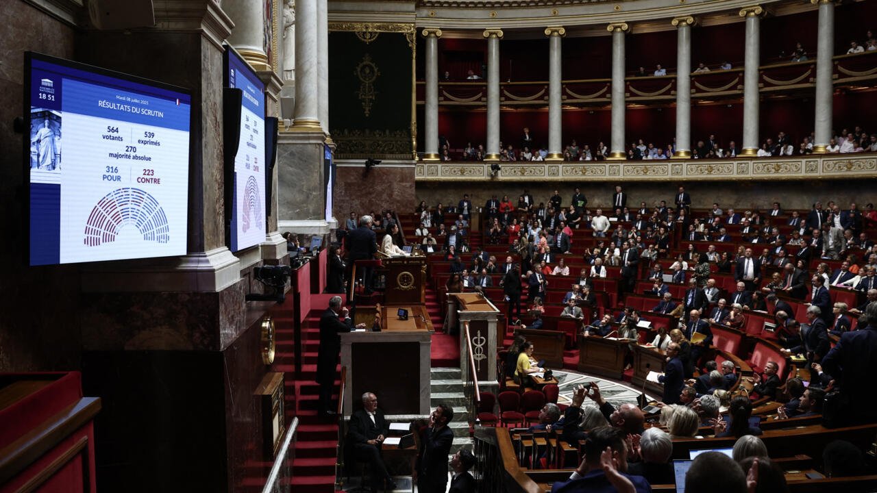 Loi Duplomb: un non à l’acétamipride qui divise écologistes, scientifiques et agriculteurs