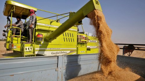 Le G7 critique la décision de l'Inde de suspendre ses exportations de blé