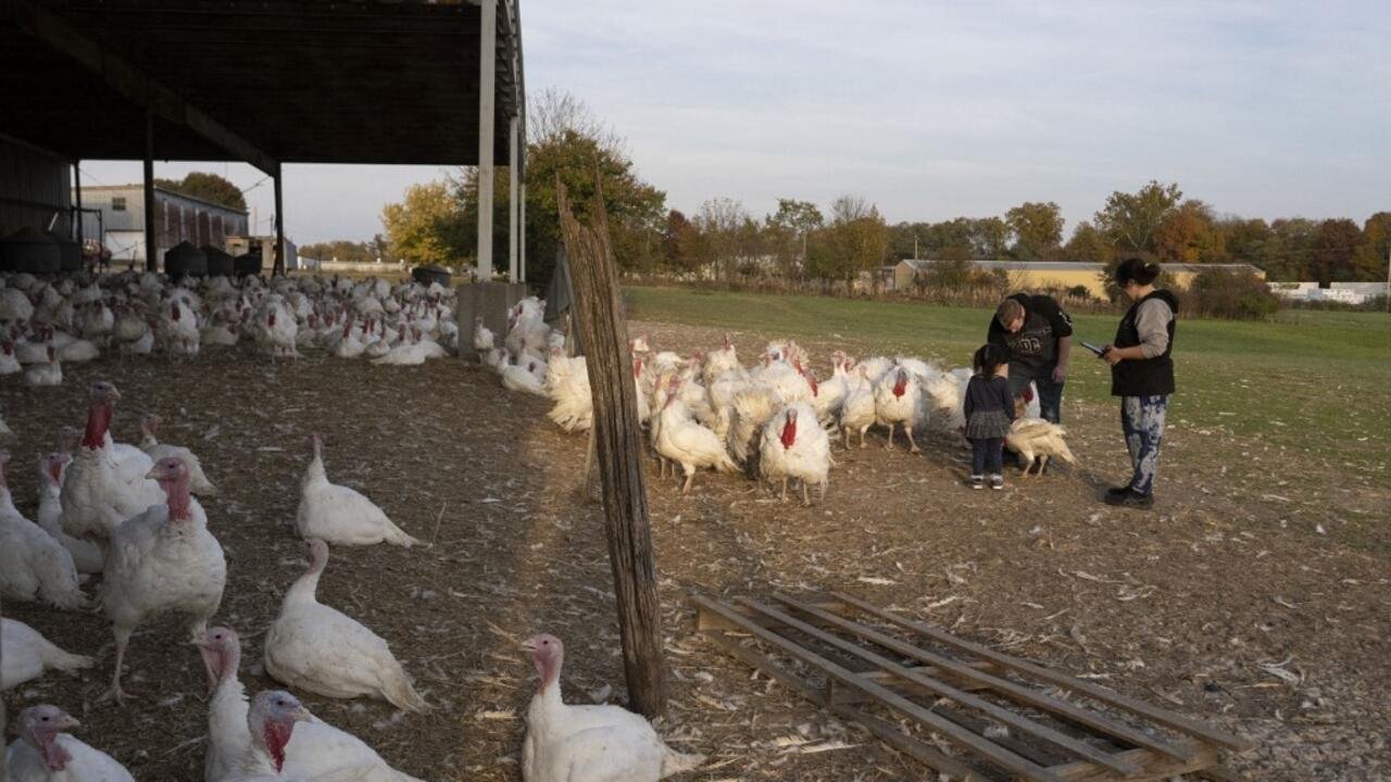 États-Unis: les agriculteurs touchés par les coupes budgétaires engagées par Trump et Musk