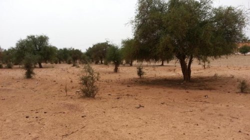 Niger: un forage pour soulager la pénurie d’eau face à l’arrivée de réfugiés maliens