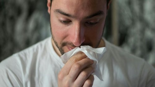 Le conseil santé - Allergies aux acariens: quelles peuvent en être les causes et comment les prévenir?