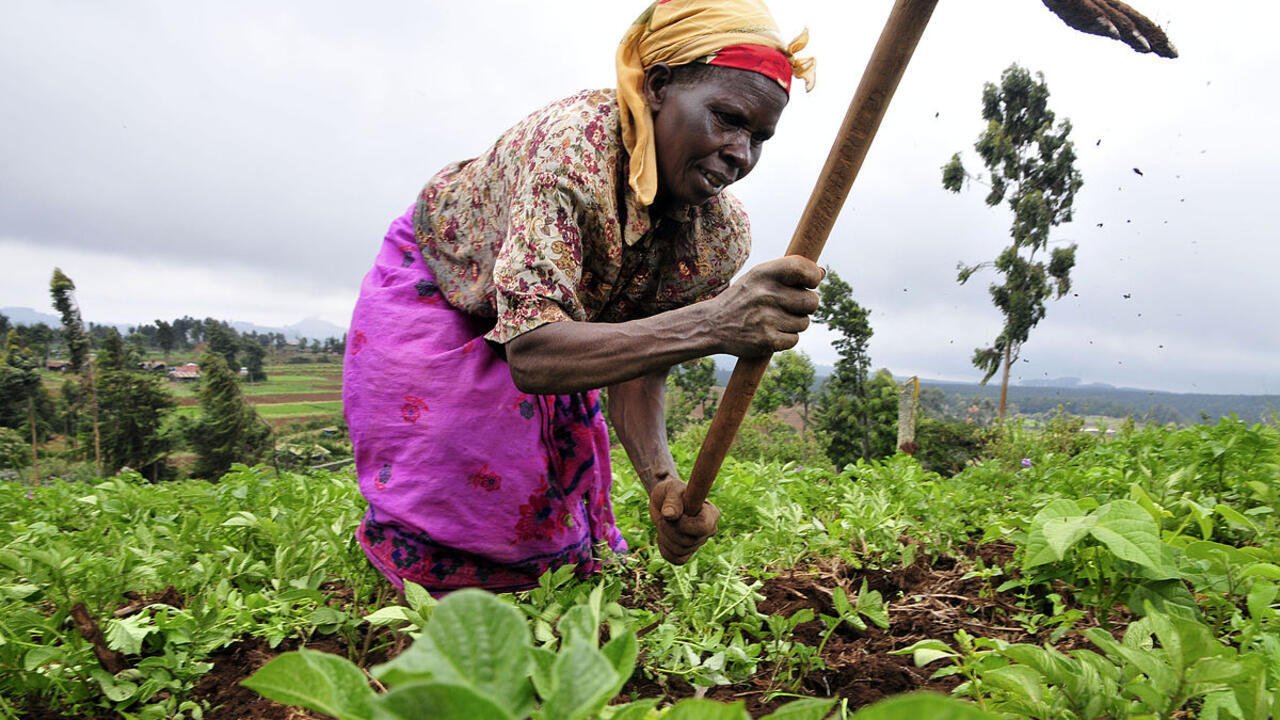Sommet ONU de Séville: «L’agriculture a été le maillon faible des investissements»