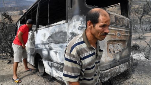 Algérie: les incendies «totalement maîtrisés», le dispositif anti-incendies critiqué