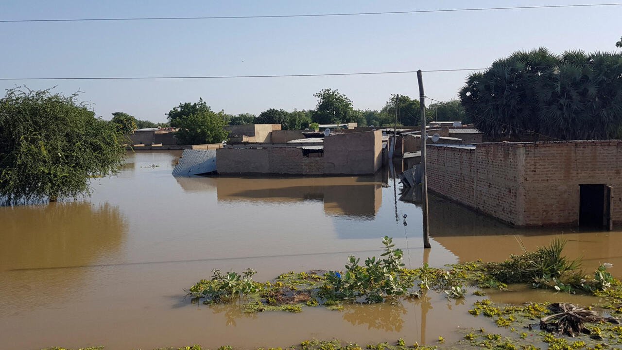 Tchad: la disparition des lits de rivières menace l’agriculture et l’eau potable