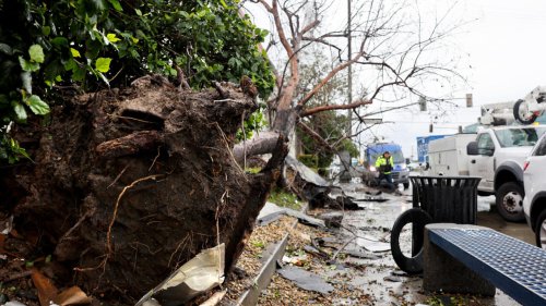 États-Unis: Los Angeles frappée par une puissante tornade, du jamais vu depuis 1983