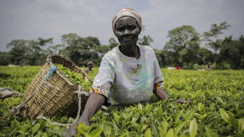 Suspension des importations kenyanes: le torchon brûle entre Khartoum et Nairobi