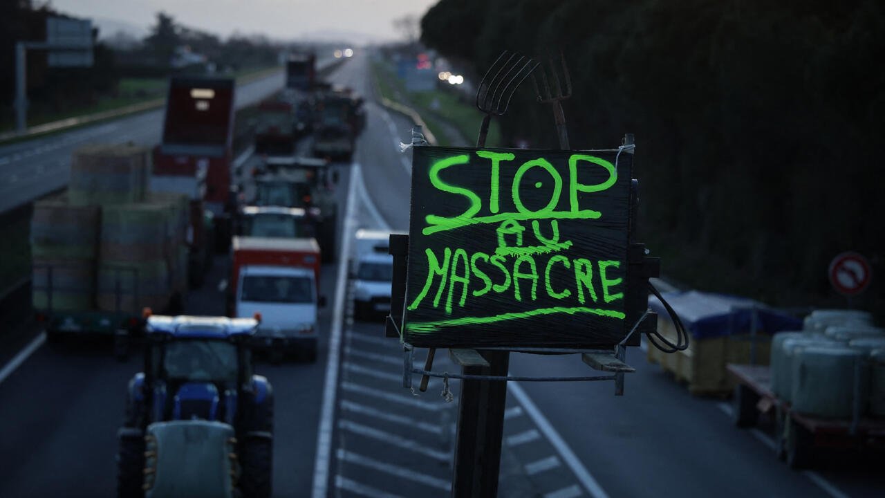 France: face à la dermatose et l’abattage de bovins, la colère monte chez les agriculteurs