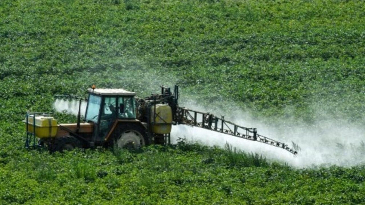 Agriculture: la controversée loi Duplomb définitivement adoptée en France