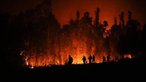 À la Une: de gigantesques feux continuent de dévorer les forêts au Chili