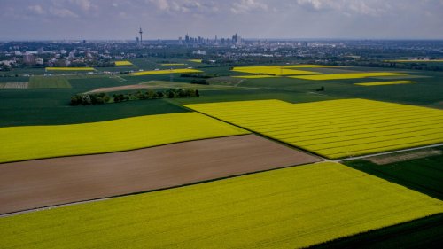 Métaux lourds: une cartographie inédite révèle l'ampleur de la pollution des sols